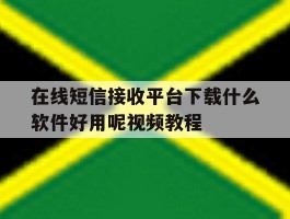 包含在线短信接收平台下载什么软件好用呢视频教程的词条
