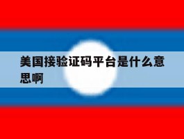 美国接验证码平台是什么意思啊
