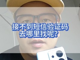 短信验证码是什么意思怎么输入密码呢视频教程的简单介绍