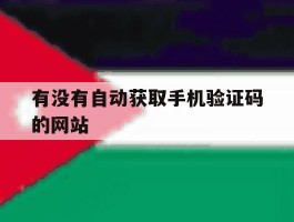 有没有自动获取手机验证码的网站