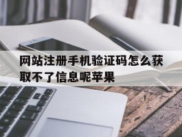 网站注册手机验证码怎么获取不了信息呢苹果的简单介绍