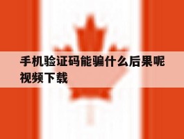手机验证码能骗什么后果呢视频下载