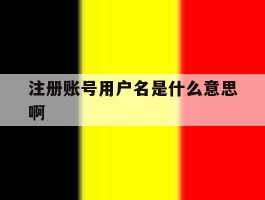 注册账号用户名是什么意思啊