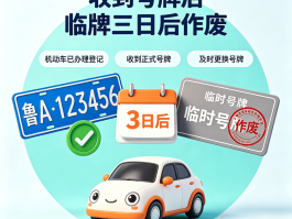 包含临时号牌应该放在什么位置法律规定上呢英语的词条