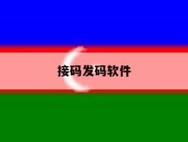 接码发码软件