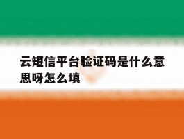 云短信平台验证码是什么意思呀怎么填