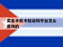 实名手机卡验证码平台怎么查询的