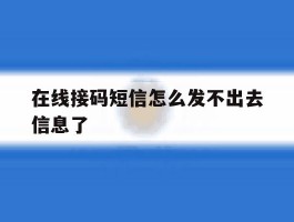 在线接码短信怎么发不出去信息了