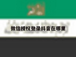微信授权登录抖音在哪里