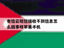 有信云短信接收不到信息怎么回事呀苹果手机的简单介绍