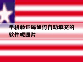 手机验证码如何自动填充的软件呢图片的简单介绍
