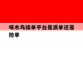 包含啄木鸟接单平台是派单还是抢单的词条