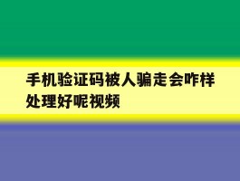 手机验证码被人骗走会咋样处理好呢视频