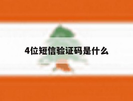 4位短信验证码是什么