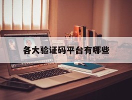 各大验证码平台有哪些