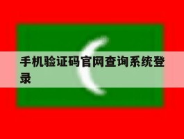 手机验证码官网查询系统登录
