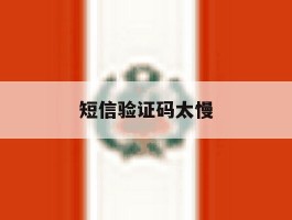 短信验证码太慢
