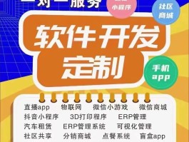 接单平台app有哪些程序可以做的呢视频