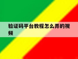 验证码平台教程怎么弄的视频