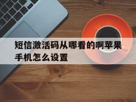 短信激活码从哪看的啊苹果手机怎么设置