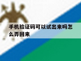 手机验证码可以试出来吗怎么弄回来