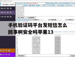 手机验证码平台发短信怎么回事啊安全吗苹果13的简单介绍