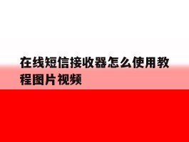 在线短信接收器怎么使用教程图片视频