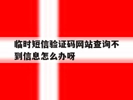 临时短信验证码网站查询不到信息怎么办呀的简单介绍