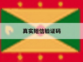 真实短信验证码