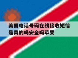 关于美国电话号码在线接收短信是真的吗安全吗苹果的信息