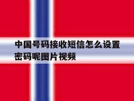 中国号码接收短信怎么设置密码呢图片视频