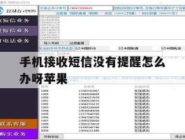 手机接收短信没有提醒怎么办呀苹果