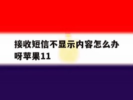接收短信不显示内容怎么办呀苹果11