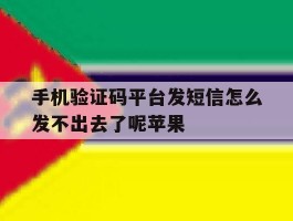 手机验证码平台发短信怎么发不出去了呢苹果的简单介绍