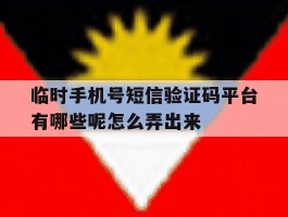 关于临时手机号短信验证码平台有哪些呢怎么弄出来的信息