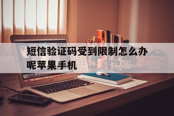 短信验证码受到限制怎么办呢苹果手机 短信验证码受到限制怎么办呢苹果手机