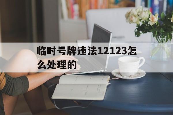临时号牌违法12123怎么处理的 临时号牌违法12123怎么处理的