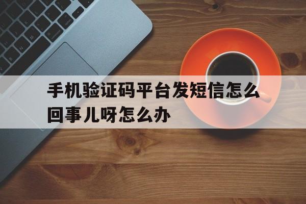 关于手机验证码平台发短信怎么回事儿呀怎么办的信息 关于手机验证码平台发短信怎么回事儿呀怎么办的信息
