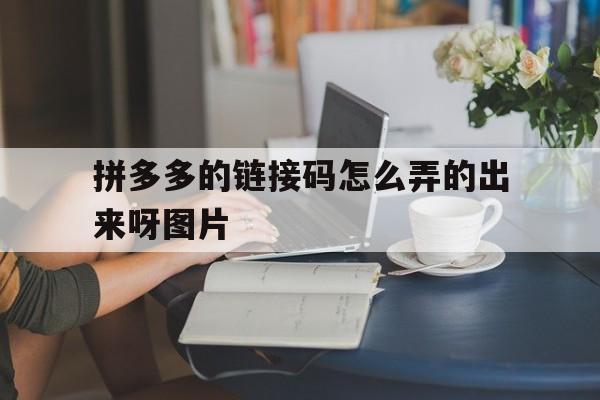 拼多多的链接码怎么弄的出来呀图片 拼多多的链接码怎么弄的出来呀图片