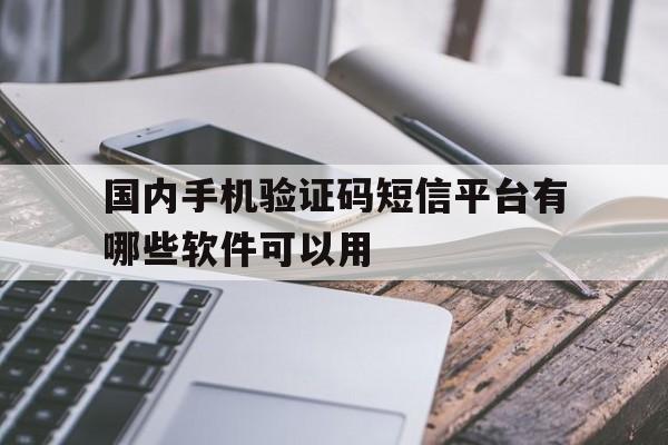 国内手机验证码短信平台有哪些软件可以用 国内手机验证码短信平台有哪些软件可以用