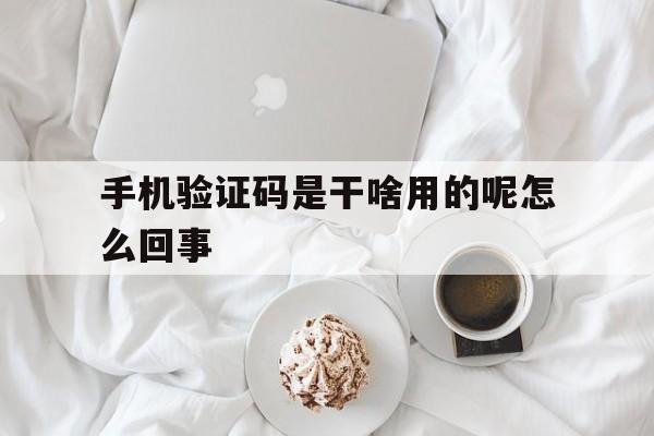 手机验证码是干啥用的呢怎么回事 手机验证码是干啥用的呢怎么回事