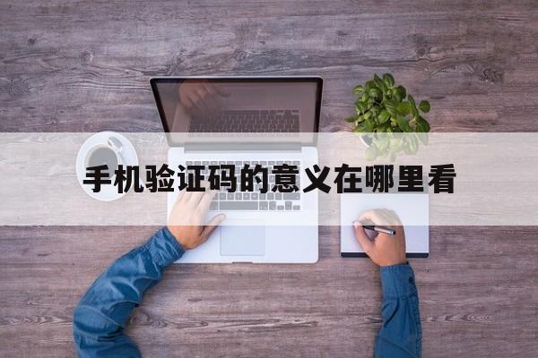 手机验证码的意义在哪里看 手机验证码的意义在哪里看