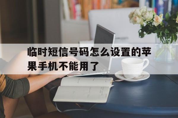 临时短信号码怎么设置的苹果手机不能用了 临时短信号码怎么设置的苹果手机不能用了