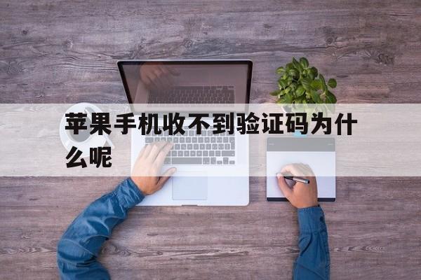苹果手机收不到验证码为什么呢 苹果手机收不到验证码为什么呢