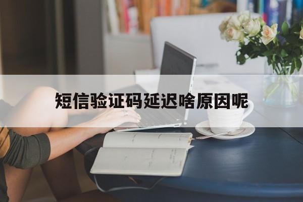 短信验证码延迟啥原因呢 短信验证码延迟啥原因呢