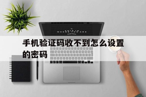 手机验证码收不到怎么设置的密码 手机验证码收不到怎么设置的密码