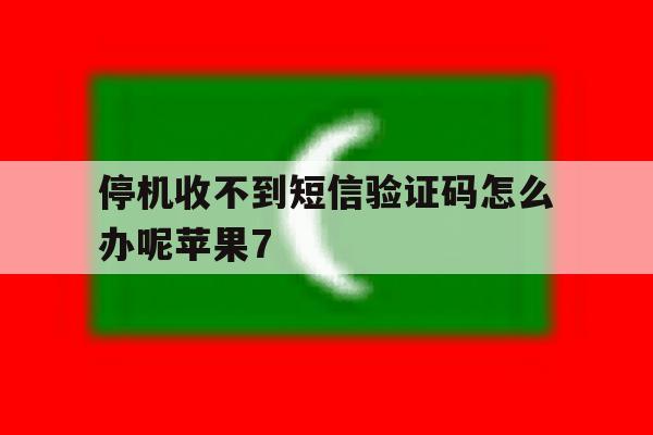 包含停机收不到短信验证码怎么办呢苹果7的词条 包含停机收不到短信验证码怎么办呢苹果7的词条