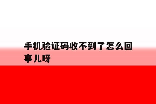 手机验证码收不到了怎么回事儿呀 手机验证码收不到了怎么回事儿呀