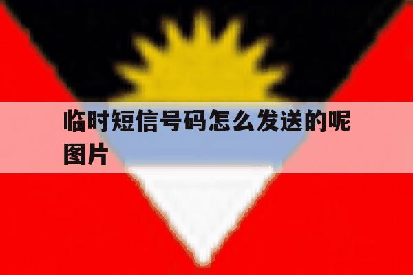 临时短信号码怎么发送的呢图片 临时短信号码怎么发送的呢图片