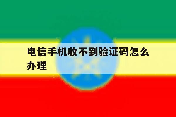 电信手机收不到验证码怎么办理 电信手机收不到验证码怎么办理